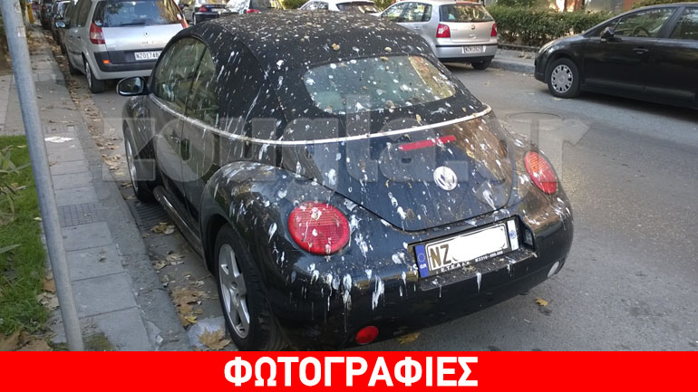 Στη Θεσσαλονίκη χιόνισε… κουτσουλιές!!!